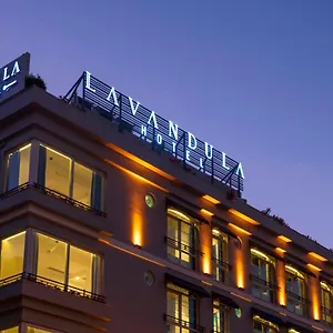 Levent Lavandula Стамбул